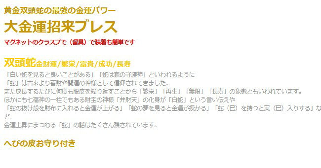 スクラッチの双頭蛇・大金運ブレス へびの皮お守り ブレスレット メンズ レディース 効果 ハンドメイド 浄化 種類 意味 アクセサリー｜アングル2