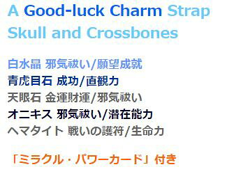 ドクロ魔除けストラップ | 白水晶 青虎目石 天眼石 オニキス ヘマタイト パワーストーン ストラップ 効果 ハンドメイド 浄化 アクセサリー クリスタル タイガーアイ 天然石 運気 アップ 開運グッズ 開運アイテム 金運アップ グッズ 邪気 お守り水晶 数珠 数珠玉 scratch2-10095865 スクラッチ サンプル画像2