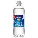 ポッカサッポロ おいしい炭酸水 [PET] 600ml x 48本[2ケース販売] 送料無料(沖縄対象外) [ポッカサッポロ 日本 飲料 炭酸水 水 大容量]..