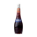 ボルス クレーム ド カカオ ブラウン 700ml 送料無料(本州のみ) [アサヒビール オランダ リキュール 49313]