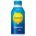 Tg[ Gokuri(SN) O[vt[c [{g] 400ml ~ 24{[P[X̔](ΏۊO)[Tg[ SUNTORY  { ʎ FGG4K]