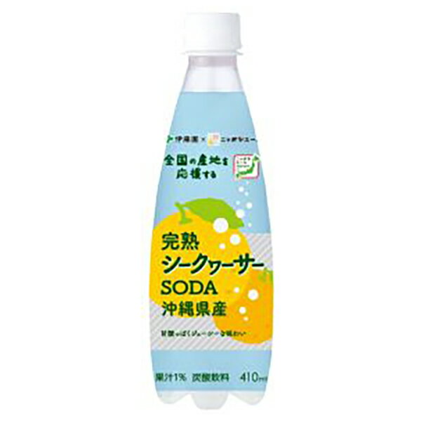 【10月値上げ対象】伊藤園 ニッポンエール完熟シークヮーサーSODA沖縄県産 [PET] 410ml x 24本[ケース販売] [伊藤園日本 飲料 ジュース 63978]のサムネイル