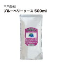 三田飲料 ブルーベリーソース 500ml