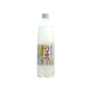 博水社 サワーペット レモン 1L 1000ml