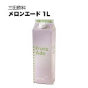 三田飲料 メロンエード 1L 1000ml