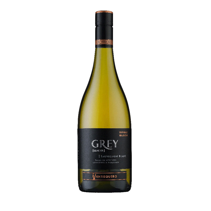 ベンティスケーロ グレイ ソーヴィニョン ブラン 750ml 送料無料(本州のみ) [AC チリ 白ワイン 辛口 13度 07793723]