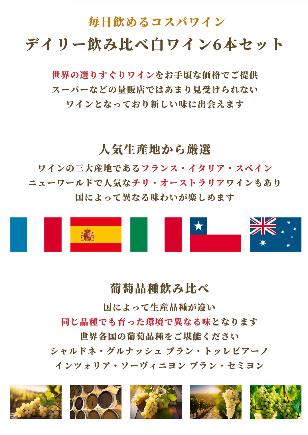 ワインセット デイリーワイン 白 6本セット 送料無料(本州のみ) あす楽対応 [フランス イタリア チリ スペイン アメリカ ワインセット wine set 飲み比べ ]ギフト プレゼント 贈り物 お祝い 内祝い お返し 誕生日プレゼント 父の日 敬老の日 se-sake222-10011066 リカータイム2号店 楽天市場店 サンプル画像3