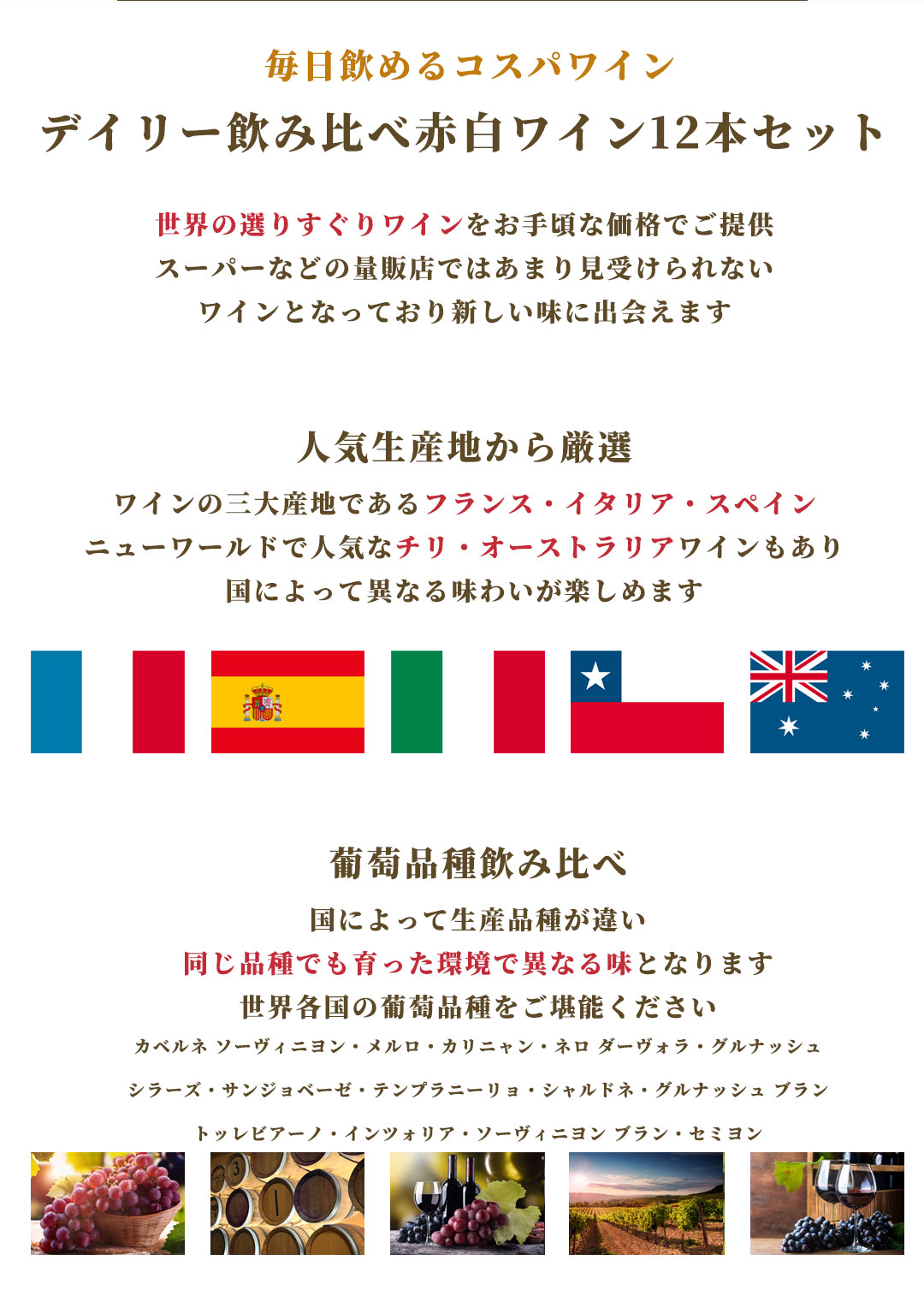 ワインセット デイリーワイン 赤白 12本セット 送料無料(本州のみ) あす楽対応 [フランス イタリア チリ スペイン アメリカ ワインセット wine set 飲み比べ]ギフト プレゼント 贈り物 お祝い 内祝い お返し 誕生日プレゼント 父の日 敬老の日 se-sake222-10011064 リカータイム2号店 楽天市場店 サンプル画像3
