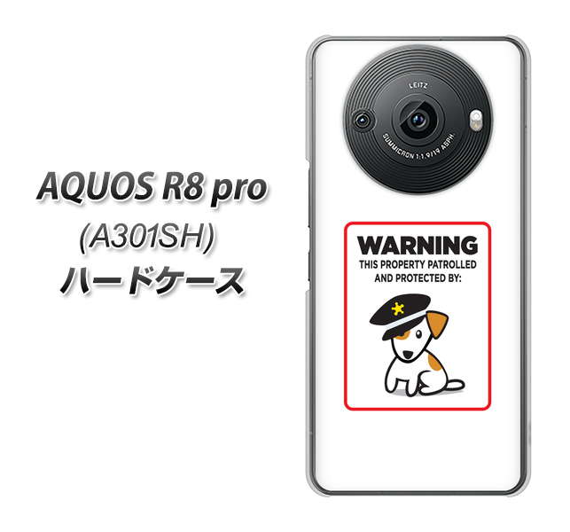 SoftBank AQUOS R8 pro A301SH n[hP[X Jo[ y374 Ҍ UV fރNAz