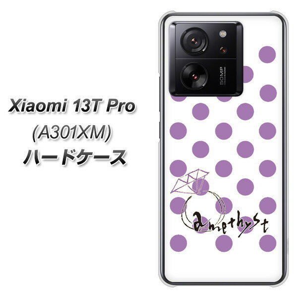 SoftBank Xiaomi 13T Pro A301XM n[hP[X Jo[ yOE811 2AWXg UV fރNAz