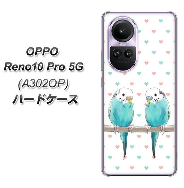 SoftBank OPPO Reno10 Pro 5G A302OP n[hP[X Jo[ yHA272 CRu[ n[g UV fރNAz