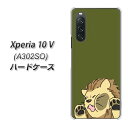 SoftBank Xperia 10 V A302SO ハードケース カバー 【HA304 むぎゅっとライオン UV印刷 素材クリア】