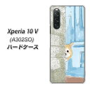 SoftBank Xperia 10 V A302SO ハードケース カバー 【YJ020 柴犬 かくれんぼ2 UV印刷 素材クリア】