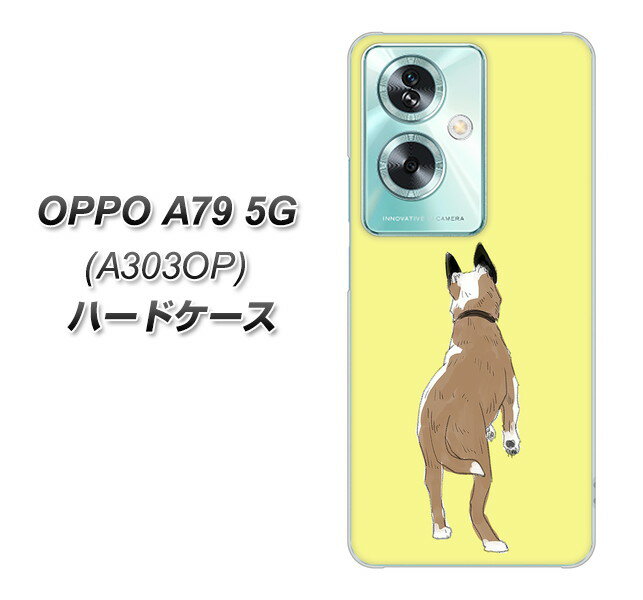 Y!mobile OPPO A79 5G A303OP n[hP[X Jo[ yYJ220  p UV fރNAz