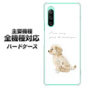 ハードケース 全機種対応 スマホカバー スマホケース 【YJ192 ゴールデンレトリバー かわいい 犬 素材 クリアケース 】 アイフォンxr Xperia XZ XZs XZ3 XZ2 XZ1 AQUOS sense2 アクオスセンス2 AQUOS R2 iPhone8 iPhone7 ギャラクシーS9 iPhoneX galaxy