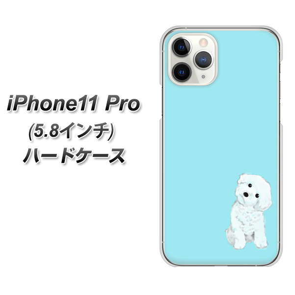 Apple iPhone11 Pro n[hP[X Jo[ yYJ070 gCv[06 u[ fރNAz