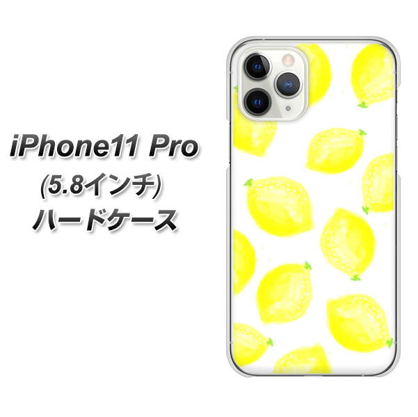 Apple iPhone11 Pro n[hP[X Jo[ yYJ150 t[c  1 fރNAz