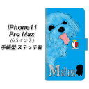 Apple iPhone11 Pro Max 蒠^ X}zP[X Jo[ yXeb`^CvzyYD844 }`[Y03z