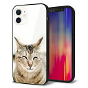 iPhone12 ケース カバー スマホケース 背面 ガラス TPU ガラプリ 【笑福ねこ】 MLM(2)