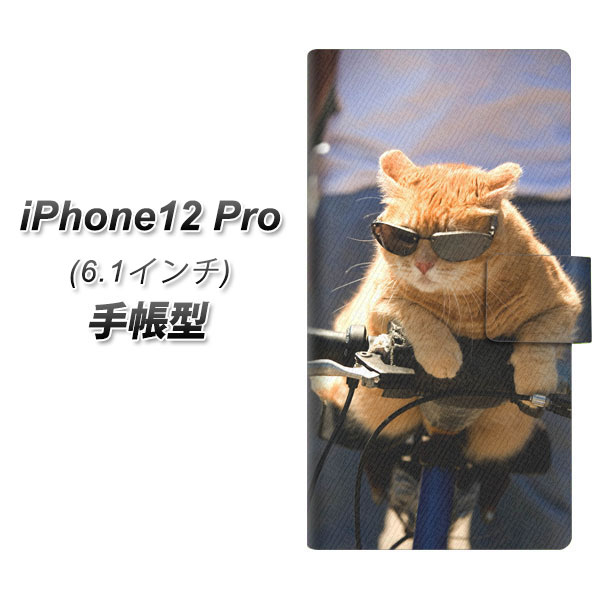 iPhone12 Pro 蒠^ X}zP[X Jo[ y595 ɂƃTCN UVz