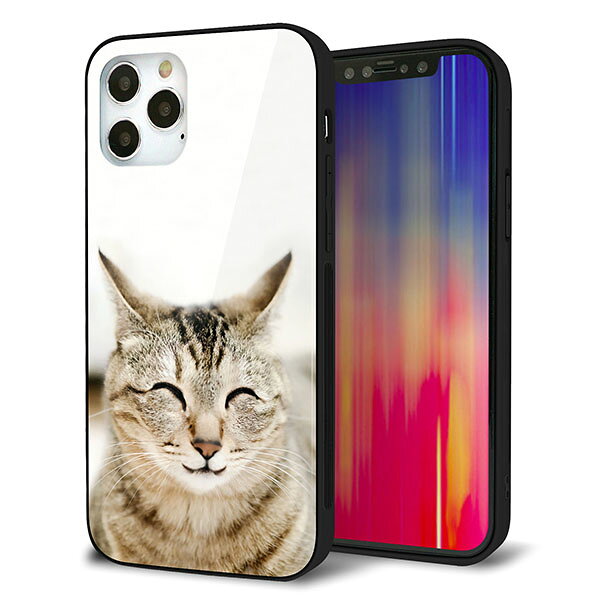 乐天商城 - iPhone12 Pro ケース カバー スマホケース 背面 ガラス TPU ガラプリ 【笑福ねこ】 MMLM