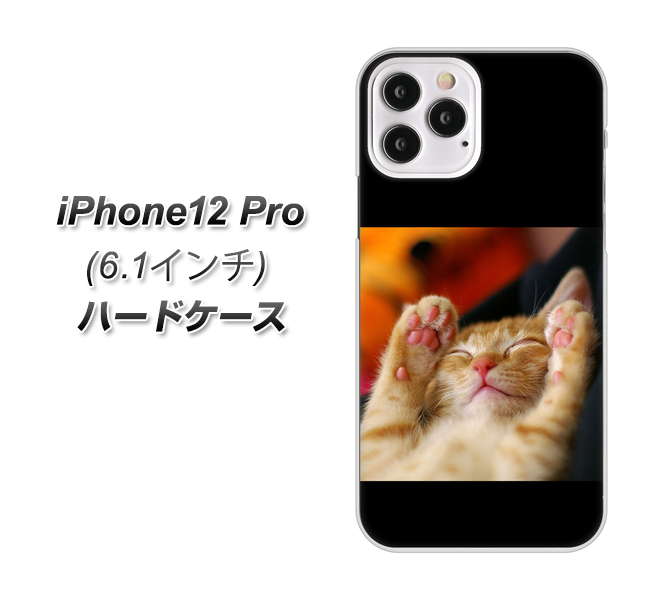 iPhone12 Pro n[hP[X / Jo[yVA804 lR fރNAz UV 𑜓x(ACtH12 Pro/IPHONE12P/X}zP[X)