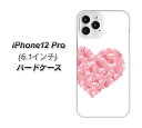 iPhone12 Pro n[hP[X / Jo[yVA840 oFn[g(L) fރNAz UV 𑜓x(ACtH12 Pro/IPHONE12P/X}zP[X)