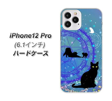 iPhone12 Pro ハードケース カバー 【YJ327 魔法陣猫 キラキラ かわいい UV印刷 素材クリア】