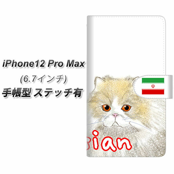 iPhone12 Pro Max 手帳型 スマホケース 