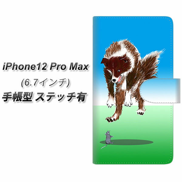 iPhone12 Pro Max 蒠^ X}zP[X Jo[ yXeb`^CvzyYE914 II UVz
