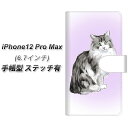 iPhone12 Pro Max 蒠^ X}zP[X Jo[ yXeb`^CvzyYG905 mEF[WtHXgLbg01 UVz