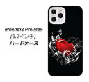 iPhone12 Pro Max ハードケース カバー 【032 クリスタルハート UV印刷 素材クリア】