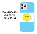 iPhone12 Pro Max ハードケース カバー 