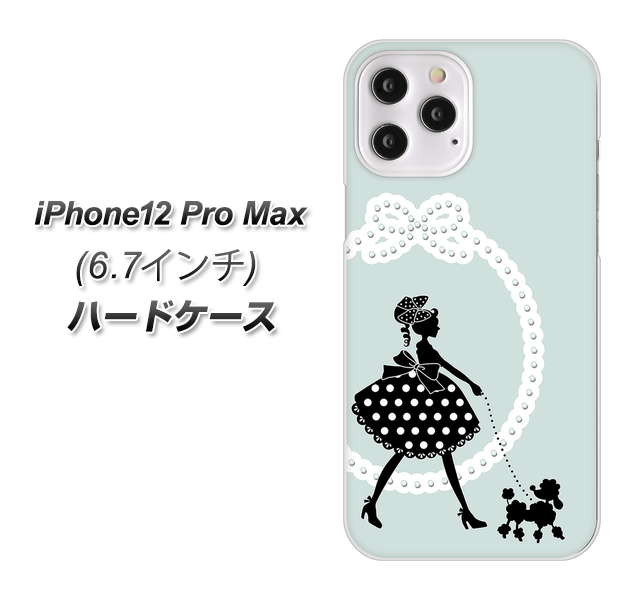 iPhone12 Pro Max n[hP[X / Jo[yVA858 p̂U BL fރNAz UV 𑜓x(ACtH12 Pro Max/IPHONE12PM/X}zP[X)