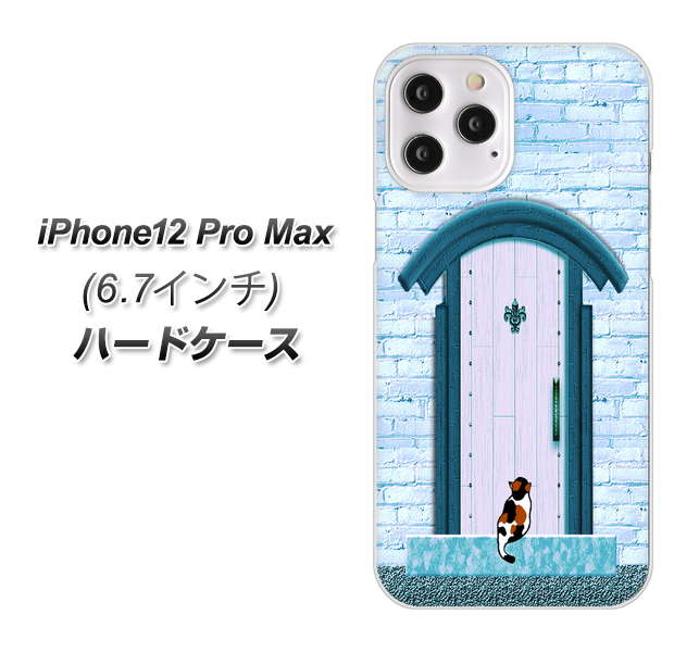 iPhone12 Pro Max n[hP[X Jo[ yYA953 ΃hA03 UV fރNAz