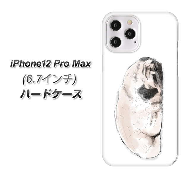 iPhone12 Pro Max n[hP[X Jo[ yYJ043 pO2 UV fރNAz