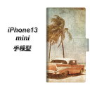 iPhone13 mini 蒠^ X}zP[X Jo[ y620 ̎-CAR UVz