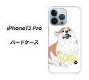 iPhone13 Pro n[hP[X Jo[ yYJ032 R[M[  UV fރNAz