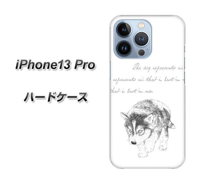 iPhone13 Pro n[hP[X Jo[ yYJ193 nXL[  킢 CXg UV fރNAz