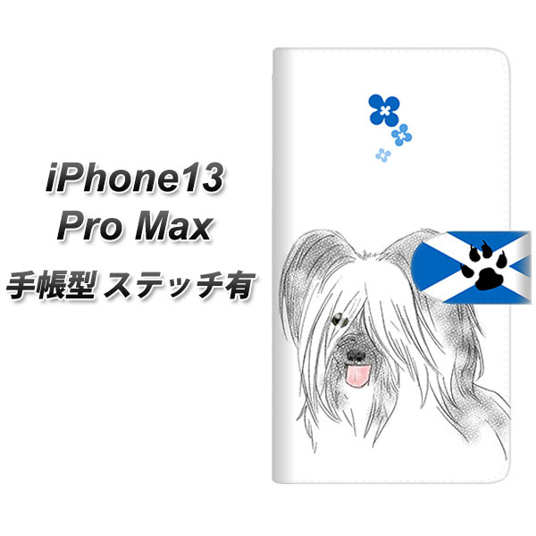 iPhone13 Pro Max 蒠^ X}zP[X Jo[ yXeb`^CvzyYD957 XJCeA02 UVz
