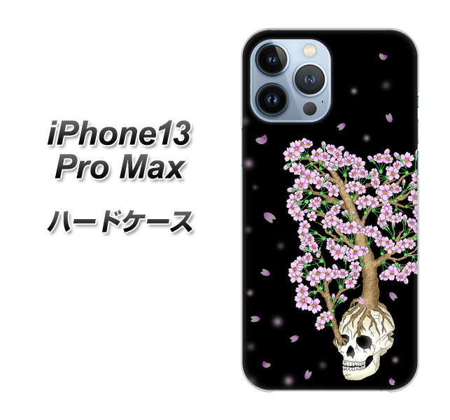 iPhone13 Pro Max n[hP[X Jo[ yAG829 [() UV fރNAz