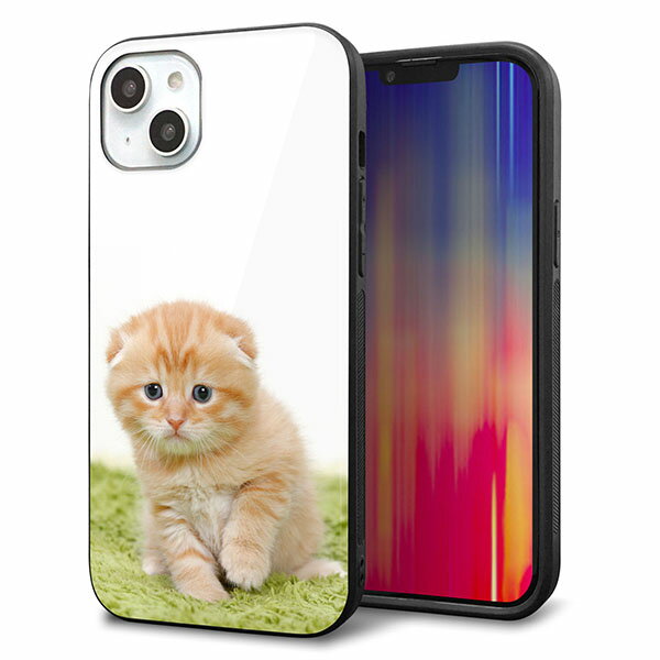 Rakuten - iPhone14 Plus ケース カバー 背面 ガラス TPU デザイン ガラプリ 【VA802 ネコこっそり】 印刷 光沢 MMLM