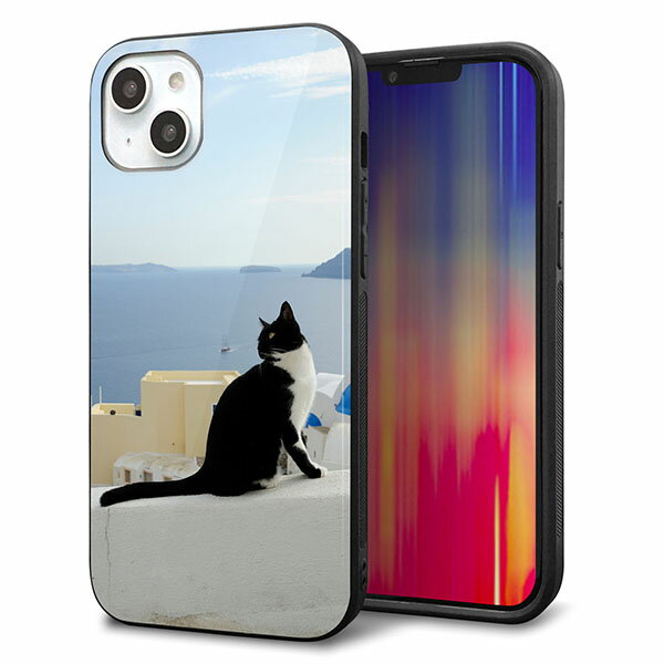 Rakuten - iPhone14 Plus ケース カバー 背面 ガラス TPU デザイン ガラプリ 【VA805 ネコと地中海】 印刷 光沢 MMLM