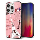 iPhone14 Pro ケース カバー 背面 ガラス TPU デザイン ガラプリ 【EK813 ビューティフルパリレッド】 印刷 光沢 MMLM