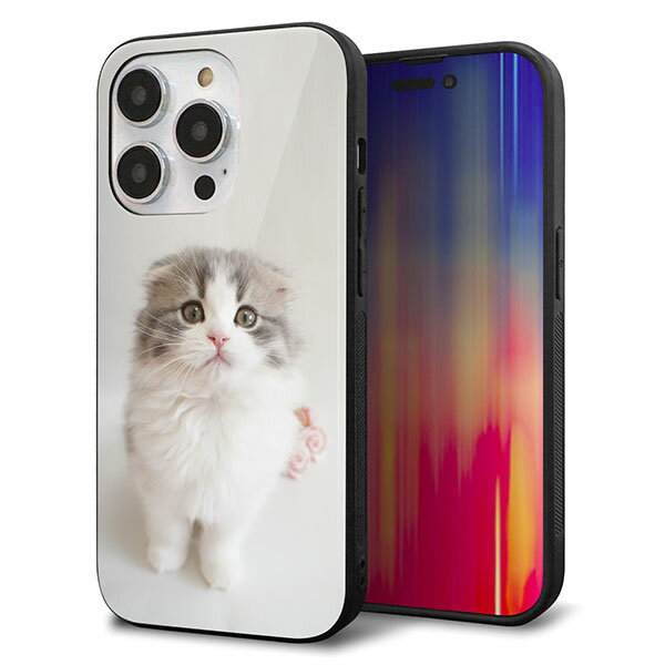 Rakuten - iPhone14 Pro ケース カバー 背面 ガラス TPU デザイン ガラプリ 【VA803 まっていますネコ】 印刷 光沢 MMLM
