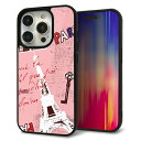 iPhone15 Pro ケース カバー 背面 ガラス TPU デザイン ガラプリ 【EK813 ビューティフルパリレッド】 印刷 光沢 MMLM