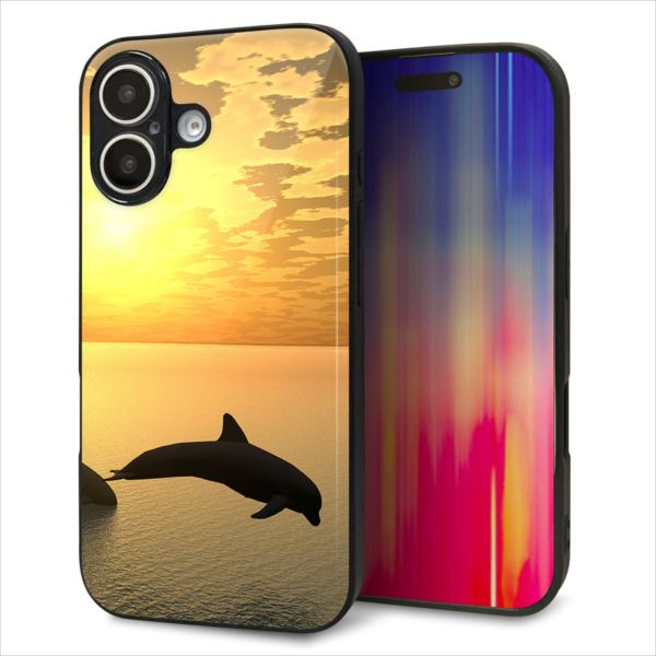 Rakuten - iPhone16 ケース カバー 背面 ガラス TPU デザイン ガラプリ 【VA845 夕暮れのドルフィン】 印刷 光沢 MMLM