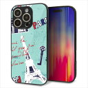 iPhone16 Pro ケース カバー 背面 ガラス TPU デザイン ガラプリ 【EK812 ビューティフルパリブルー】 印刷 光沢 MMLM