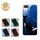 【訳ありだからこの価格!!】iPhone5 / iPhone5s 共用 (docomo/au/SoftBank) 光るスマホケース(423 シャチ) 【アイフォン/IPHONE5/IPHONE5S/スマホ/ケース/カバー】【P06Dec14】