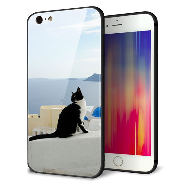 iPhone6sPLUS ケース カバー 背面 ガラス TPU デザイン 【 VA805 ネコと地中海 】 印刷 光沢 メール便送料無料